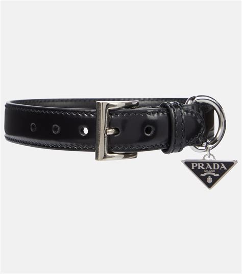 prada dog collar buy|elegant dog collar.